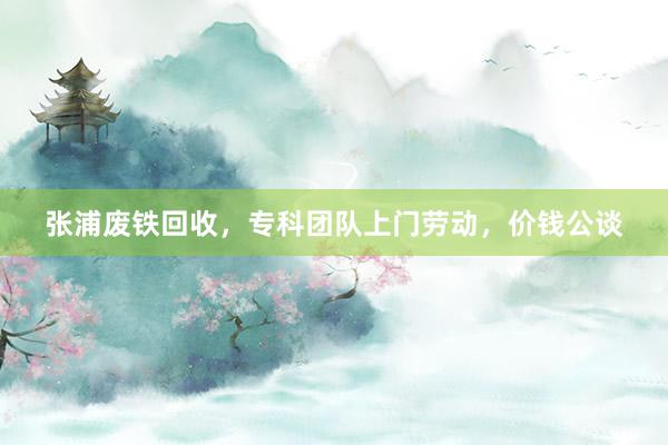 张浦废铁回收，专科团队上门劳动，价钱公谈